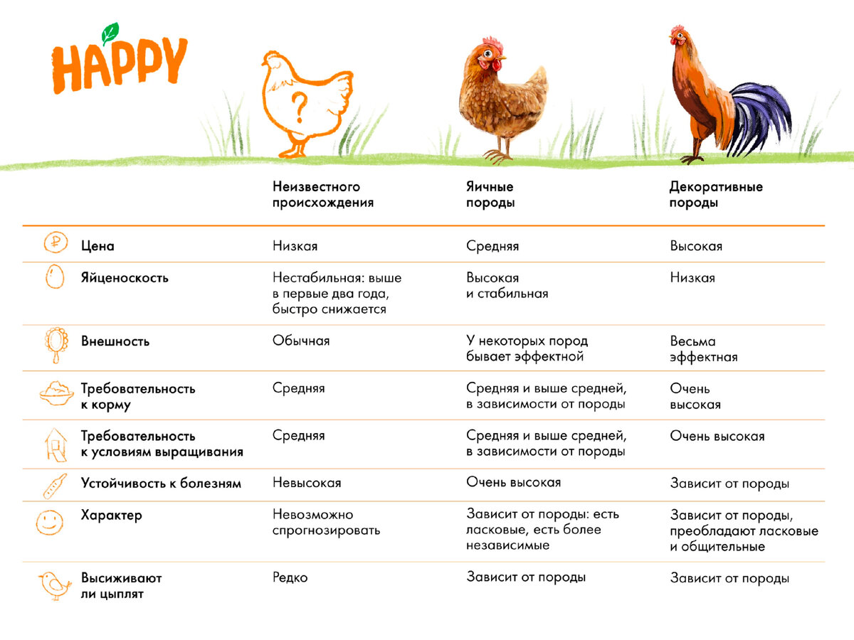 Сравнительная таблица пород кур 