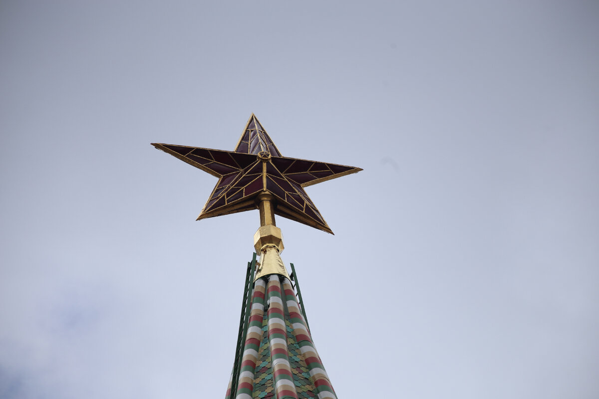 Кремлевские звезды цветы фото