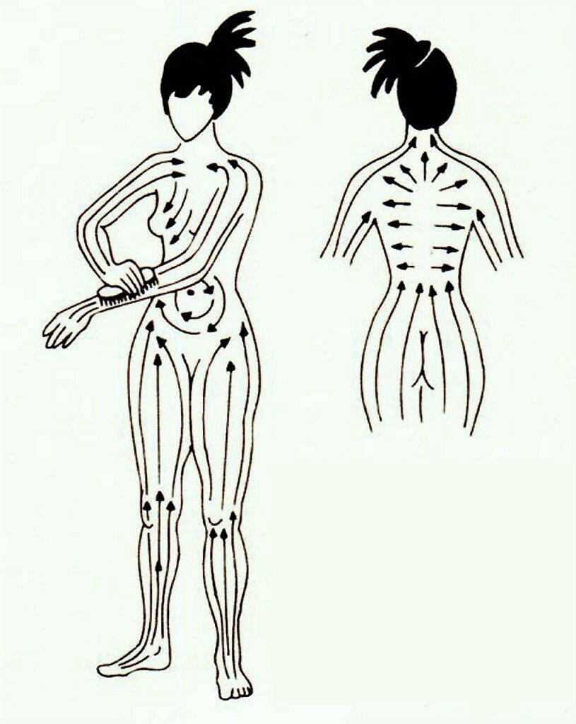 Массажные линии тела лимфа. Лимфатическая система массажные линии тела. Массажные линии тела схема лимфа. Лимфатическая система человека схема движения лимфы массаж.