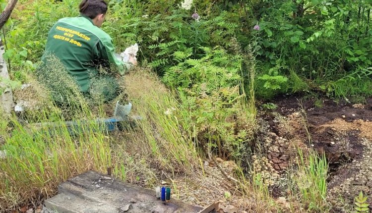 Фото: пресс-служба Росприроднадзора РФ