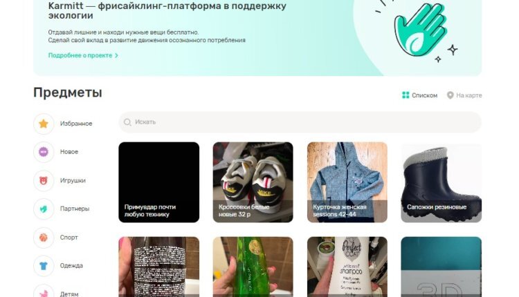 Фото: скриншот karmitt.com