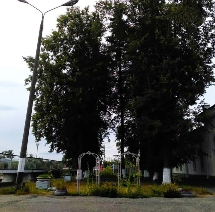 Фотография сделана мной. У вокзала Гусь-Хрустальный. 