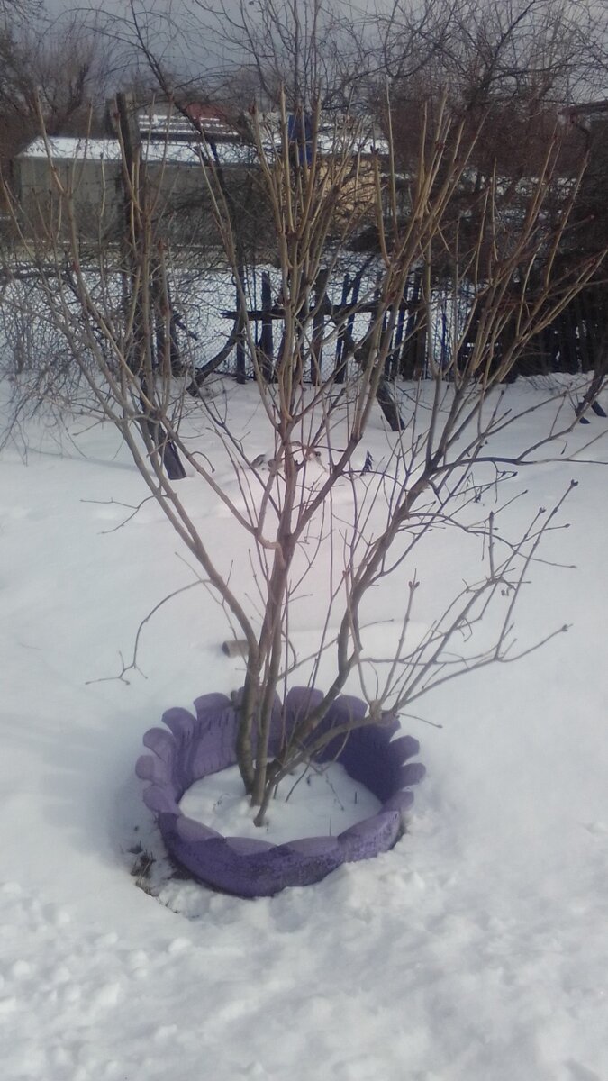 фото сила - в знаниях