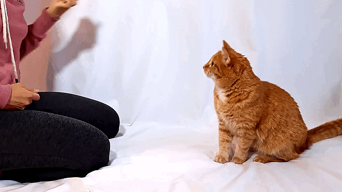 Предмет может быть любой. В этот раз мы с Рисиком взяли резиновую уточку