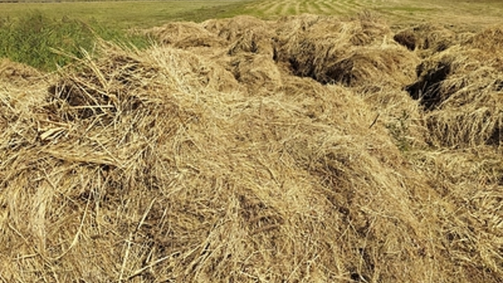 ФОТО: VICTOR LISITSYN/GLOBALLOOKPRESS