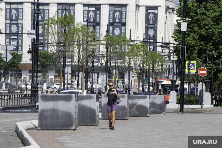    Деревья были высажены в центре Перми в рамках программы мобильного озеленения