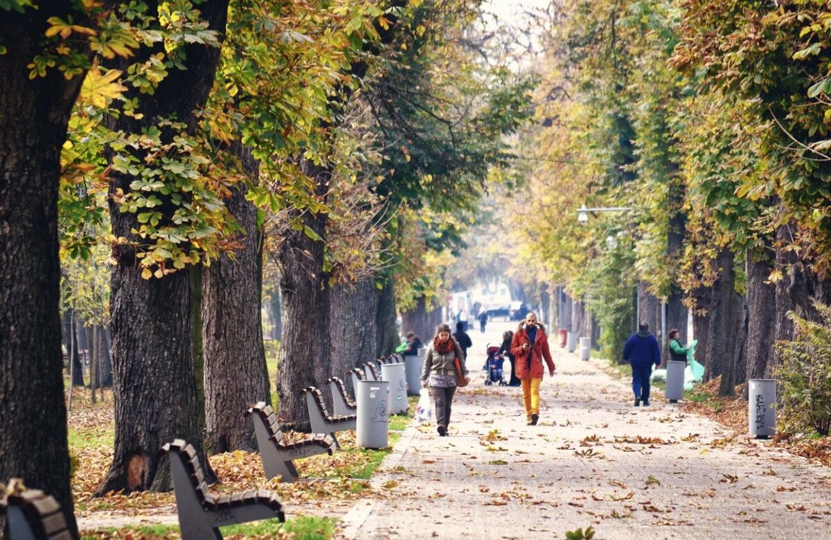 С приходом октября температура понизится.  Фото: Фото: pxhere.com