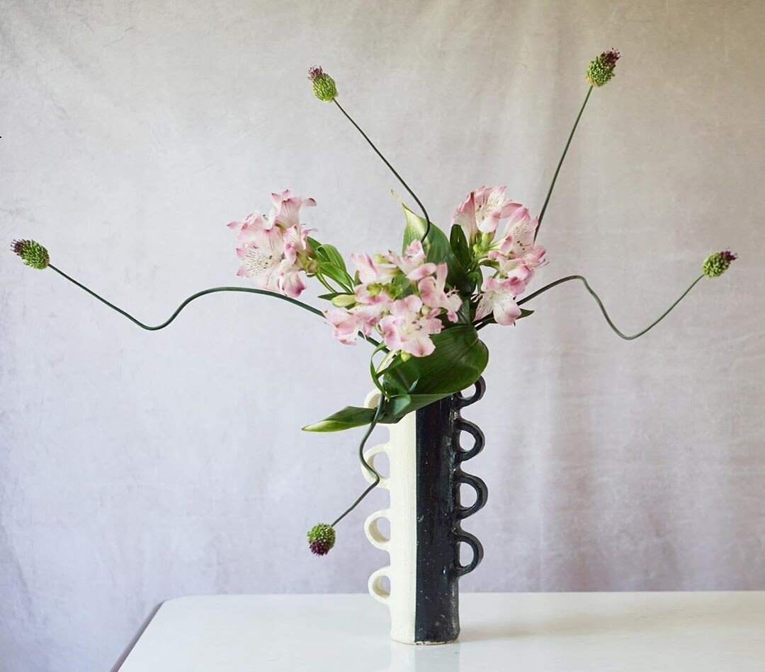 Гвоздика Ikebana