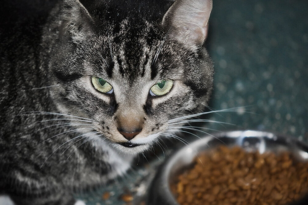 Из открытых источников