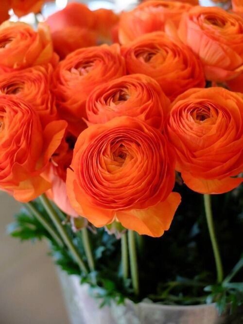 pinterest.ru