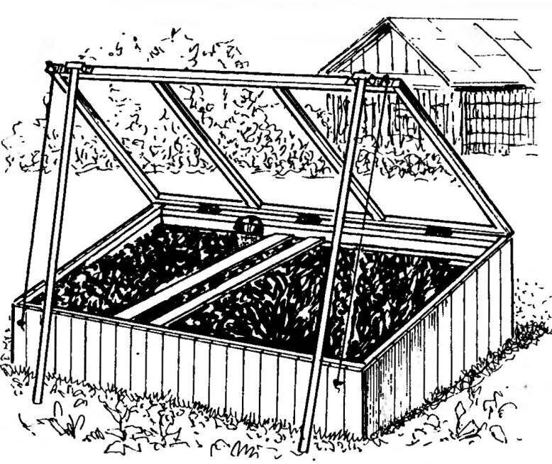 Парник для огурцов своими руками из дерева схема