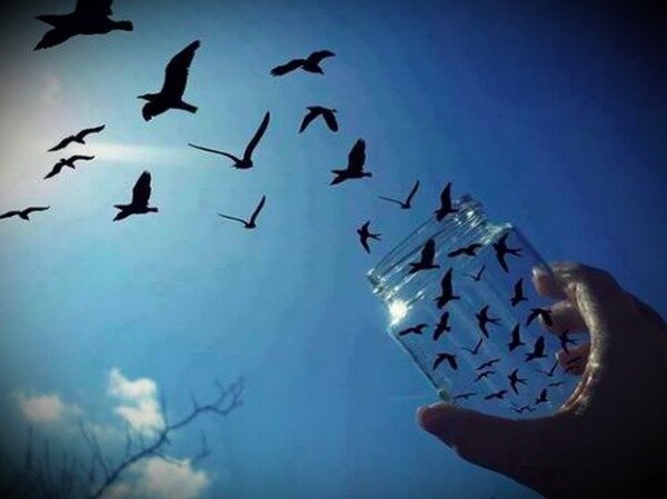 Что такое свобода?