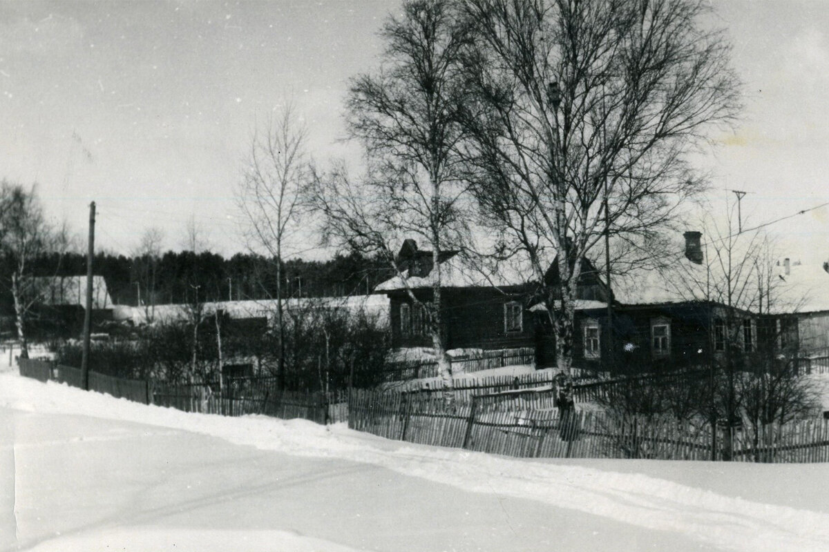 В деревне Савёлки, 1965 г. (фото: pastvu.com)