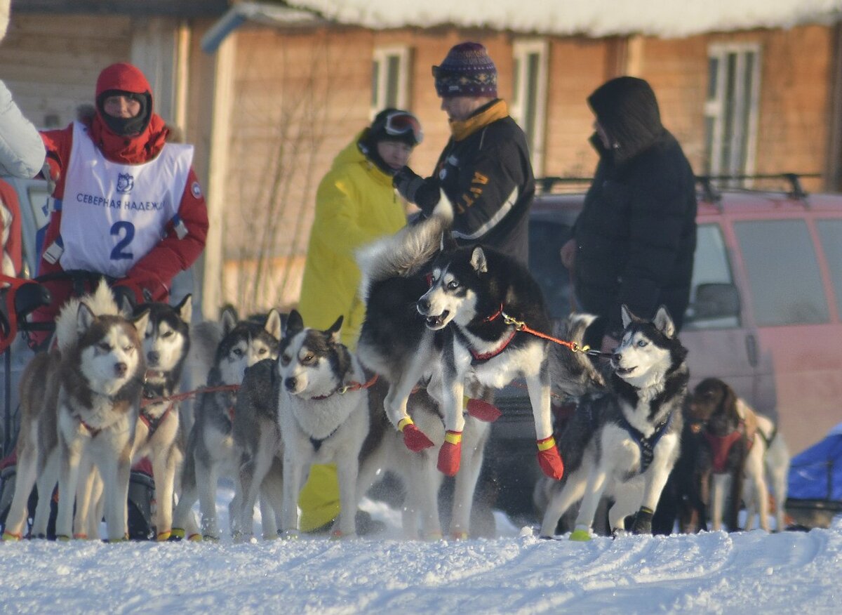 Международная этапная гонка "Северная надежда".