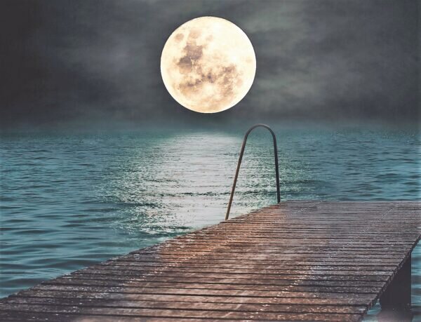    Фото: pixabay.com