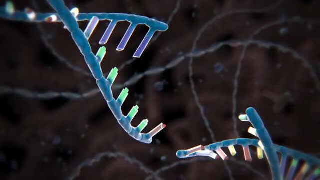 Джимми Олагер практически сразу вылечился от тяжелого генетического заболевания — серповидно-клеточной анемии — с помощью генетической терапии на основе CRISPR.