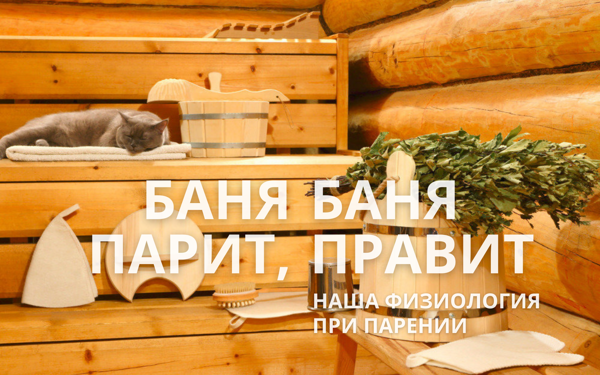 Даже котики любят баню