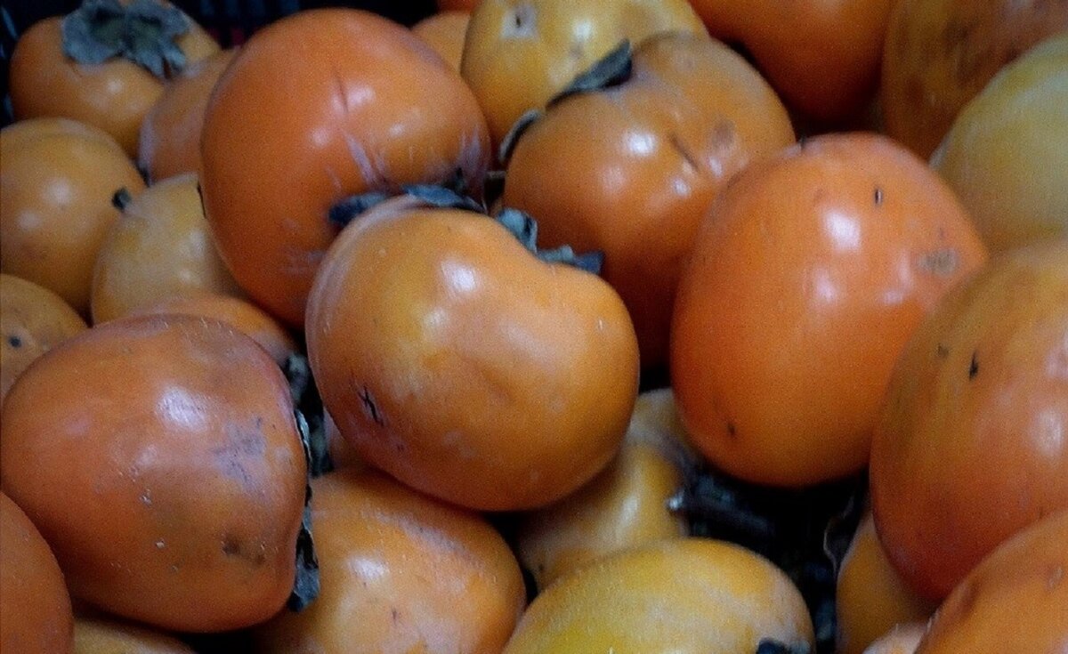 Фото автора, сделано в магазине