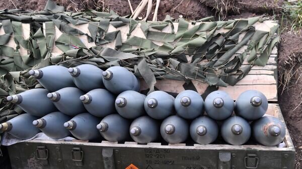   © Sputnik / Виктор Антонюк