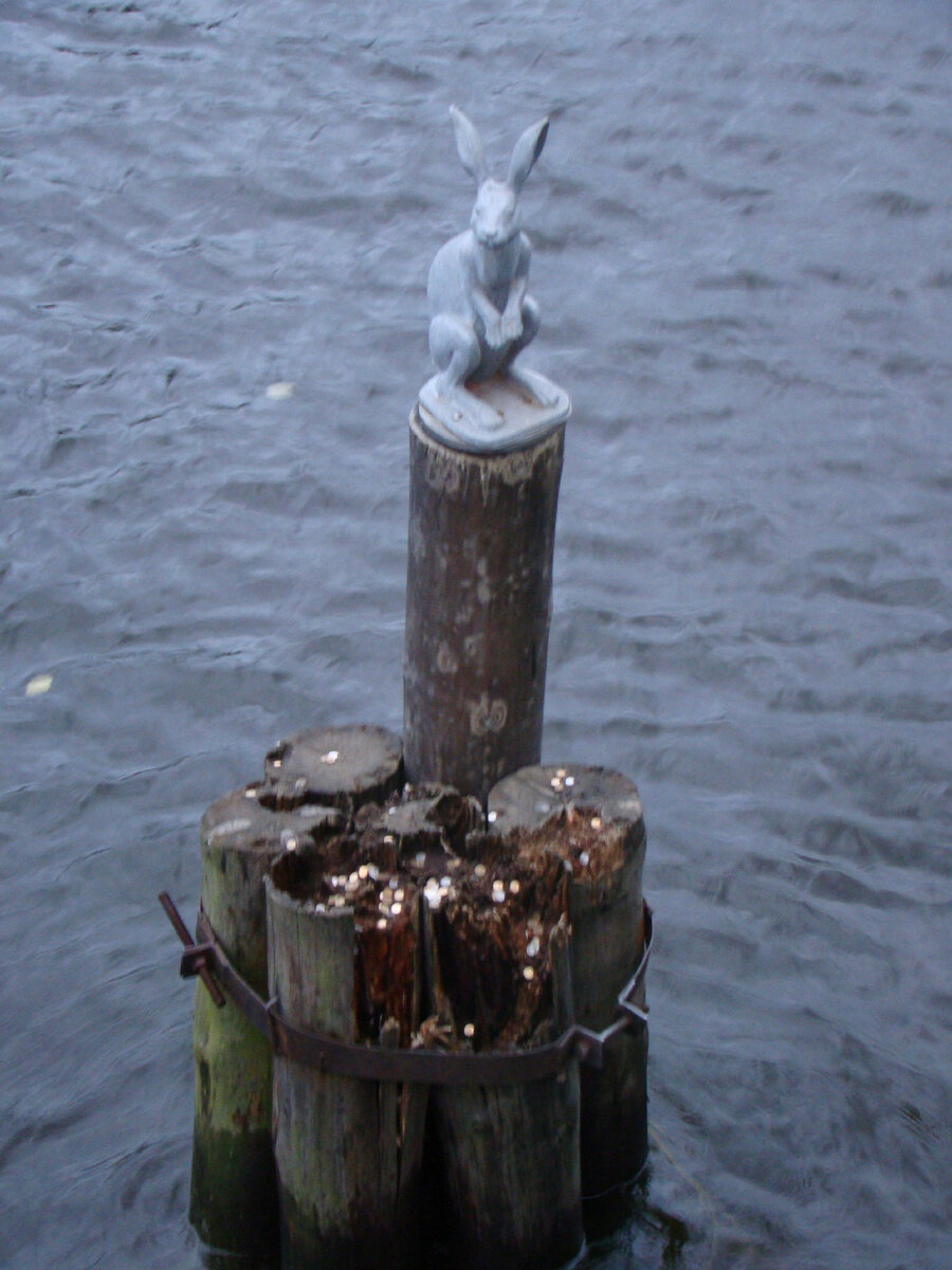 Петропавловский зайчик, приносящий удачу.