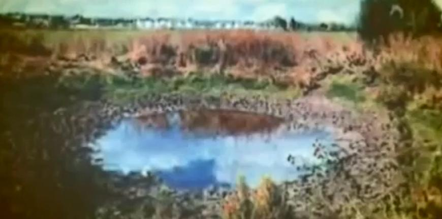 Фото из интернета