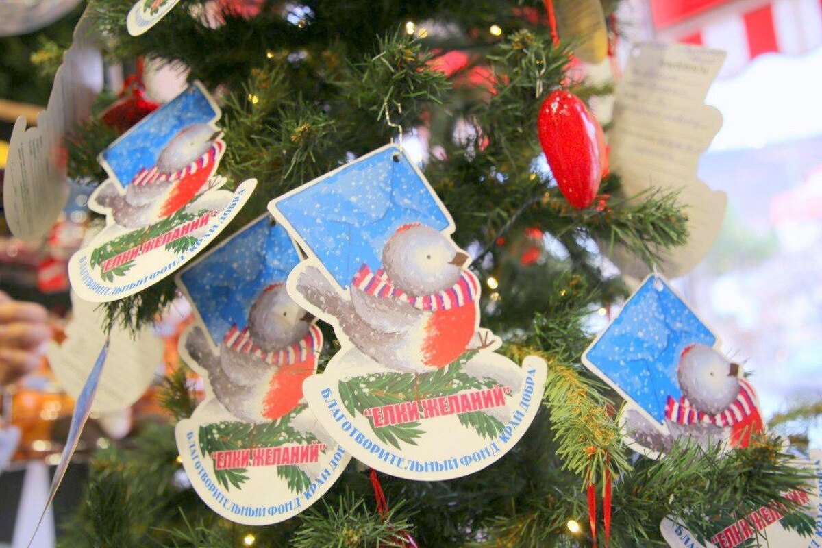 Фото — администрация МО город-курорт Геленджик