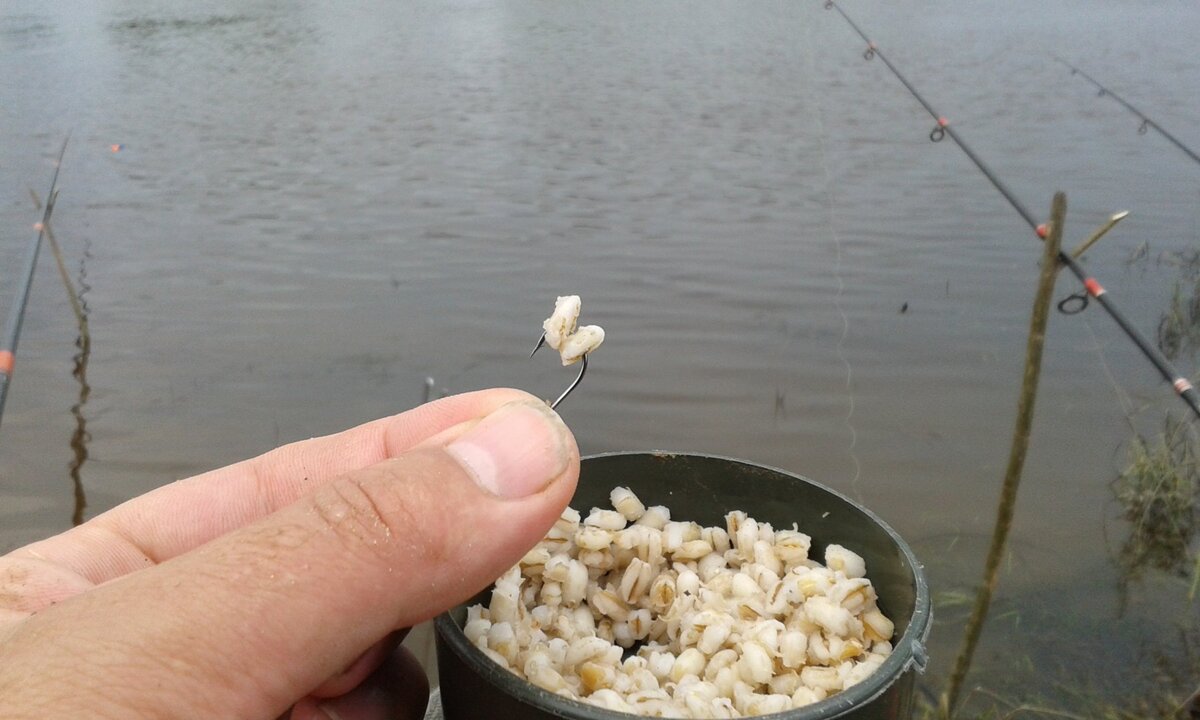 Приманка для рыбалки карася своими руками