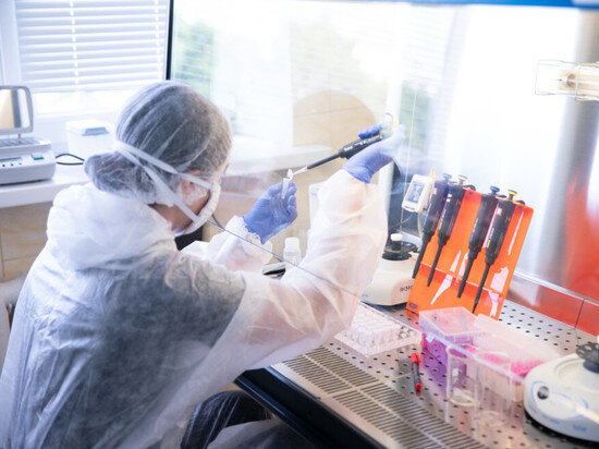     Фото пресс-службы КФУ им. В.И. Вернадского