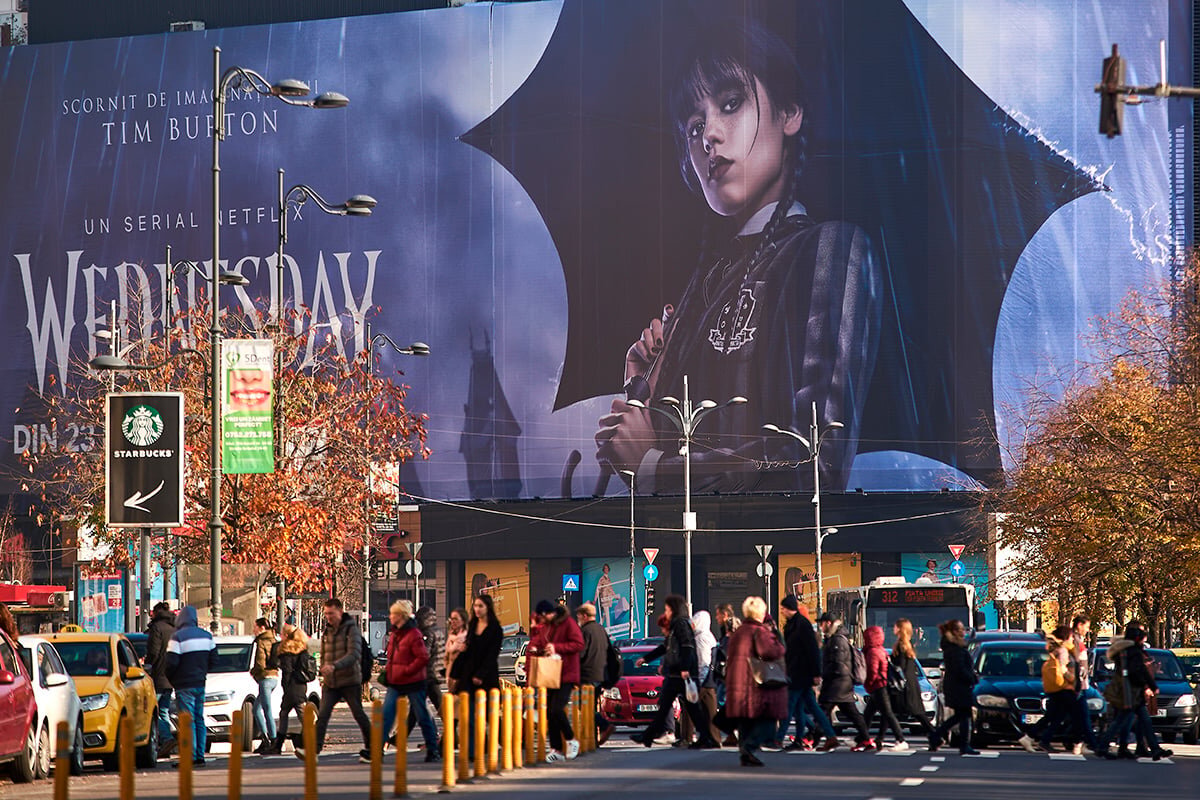    Фото: LCV/shutterstock.com