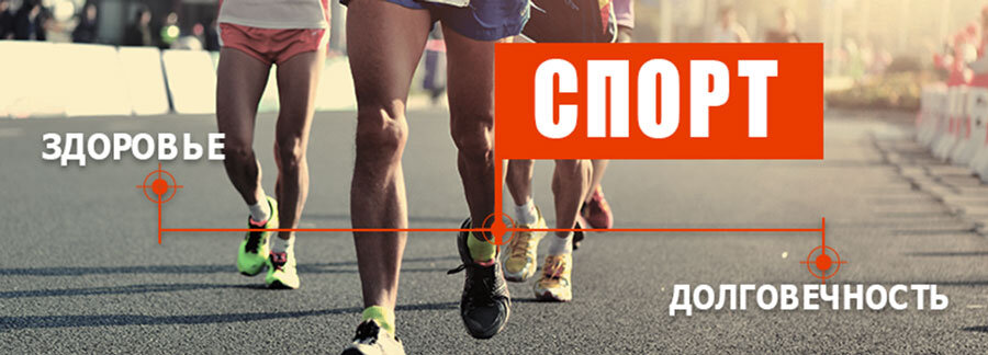 Влияние спорта на человека проект