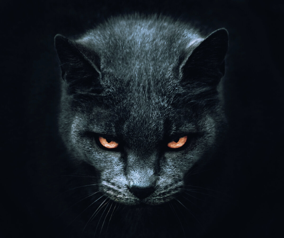 (Изображение взято из публичного источника.)