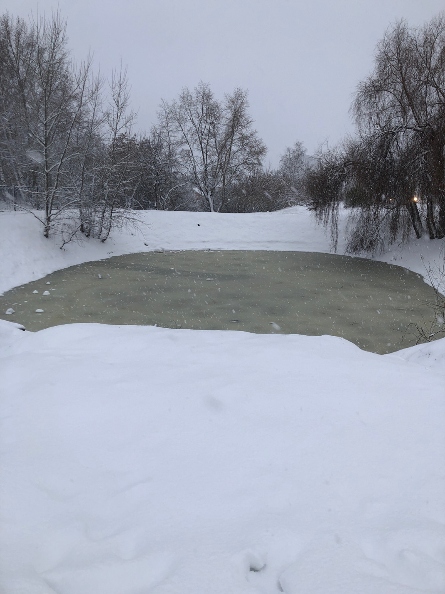 Во время прогулок улучшается настроение