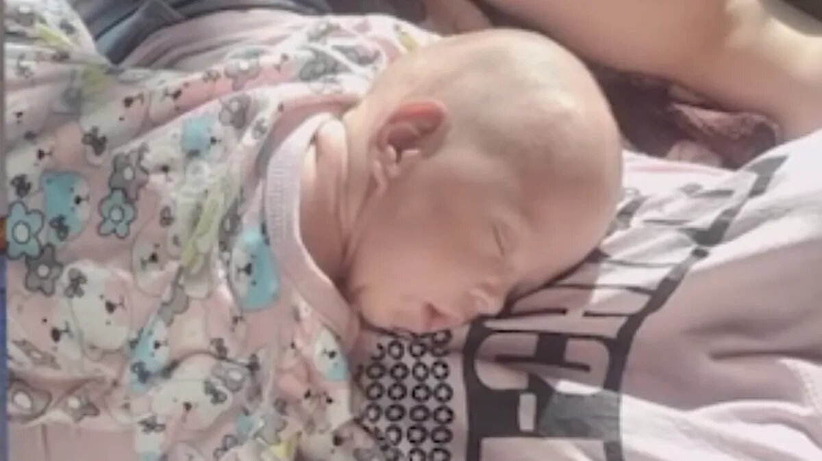 Фото: стоп-кадр / SHOT