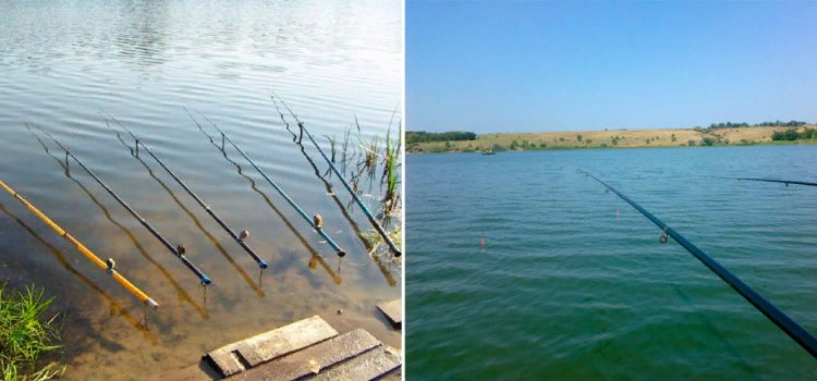 Оснастка маховой удочки коннектор. Штекерные маховые удочки. Поплавок для маховой удочки 2г. Оснастка поплавочной удочки на карпа. Как ловить на маховую удочку.