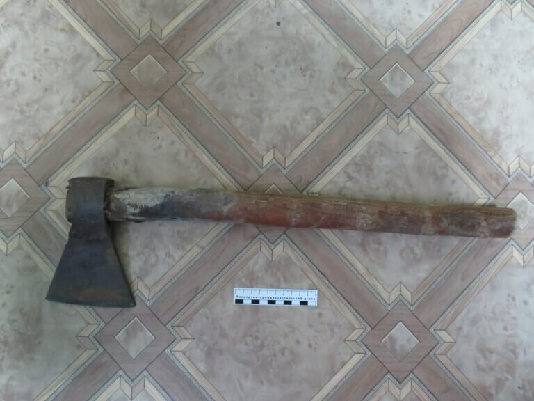    В Первомайском районе женщина ударила сожителя топором из-за надоевших родственников Елена Шкатова