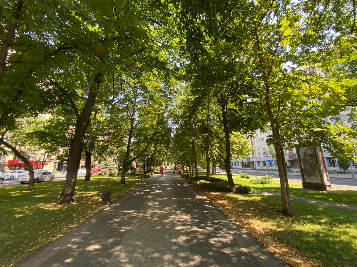 Большинство желайщих переехать в Краснодарский край верят в то, что ...