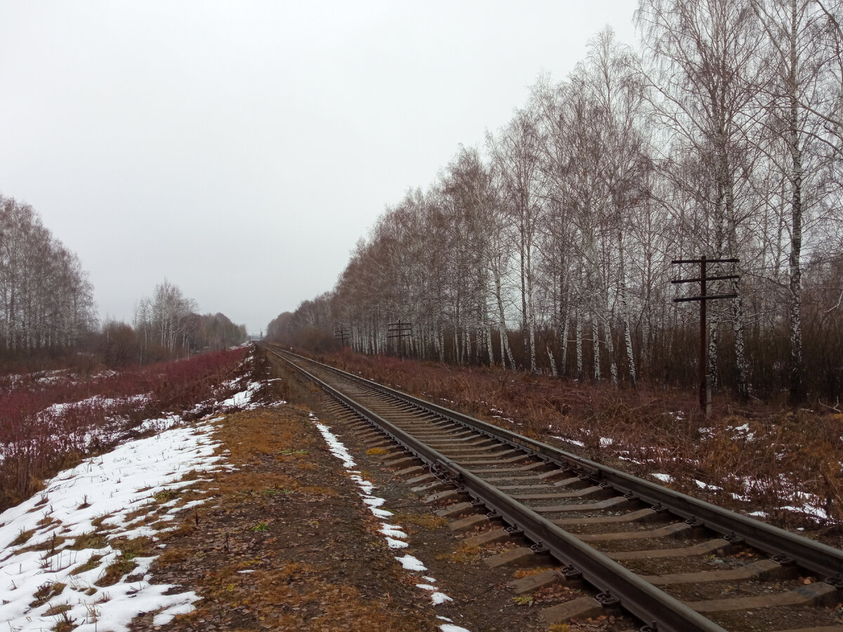 Путешествие на малодеятельную ветку в Егоршино | SWNTrains | Дзен