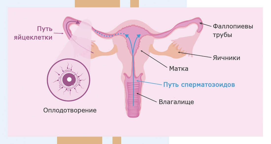 Не получается забеременеть