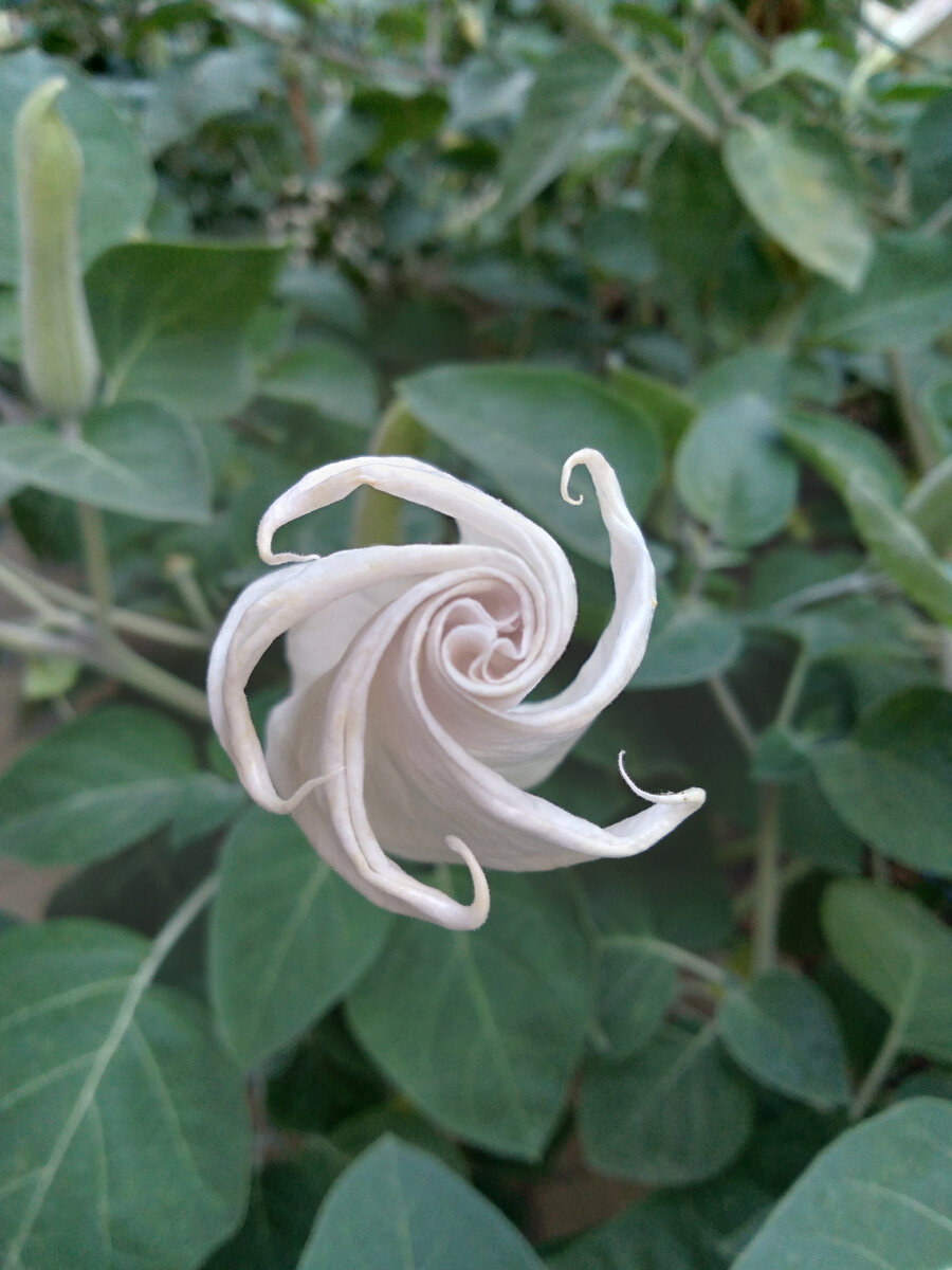 Если присмотреться, всегда найдёшь, за что поблагодарить. 