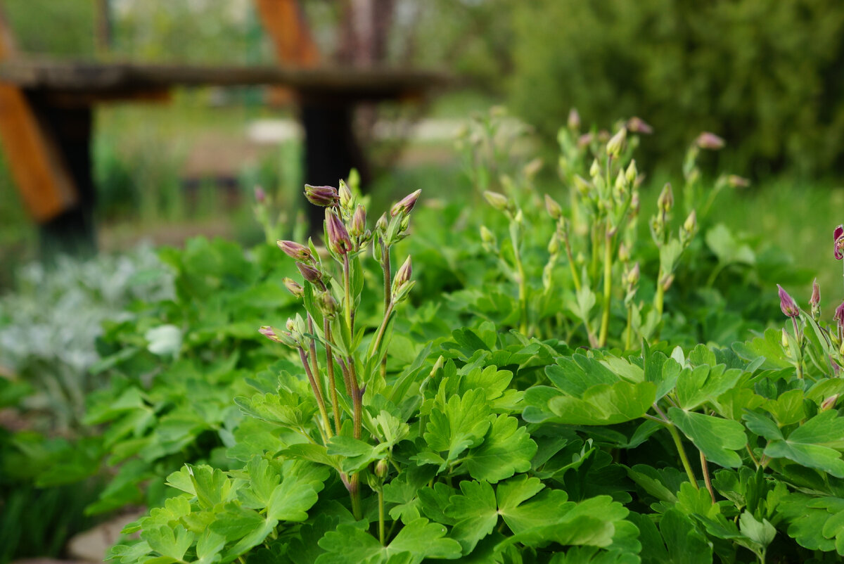 Апрель 2022г.