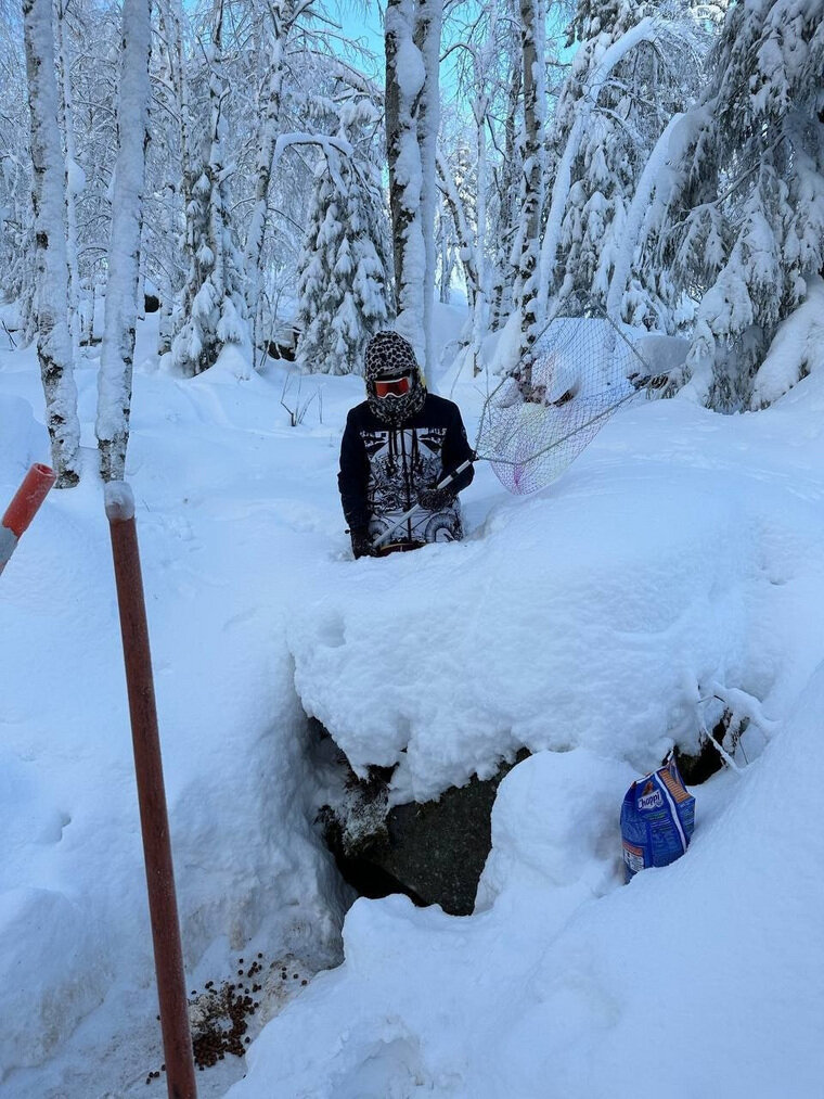    Спасение щенков на горнолыжном курорте Губаха telegram-канал «Мой город — Пермь»