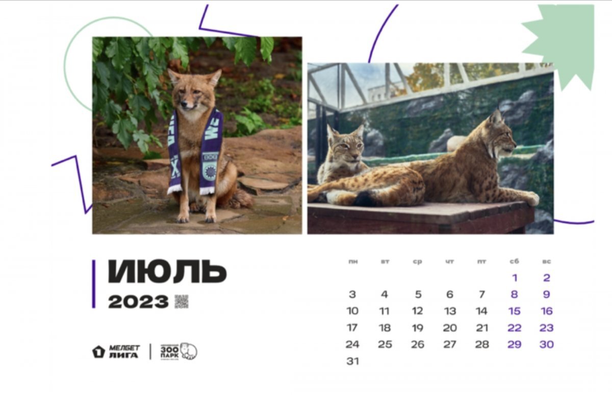    ФК «Уфа» достались образы хищников в «животном» календаре 2023 года