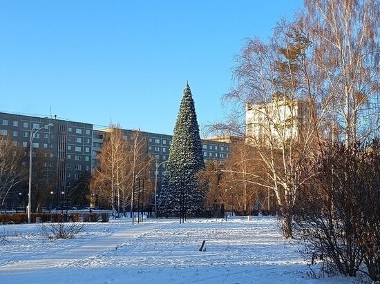     Вечная новогодняя елка в парке Архипова. Фото: Николай Курилов / МК-Урал.