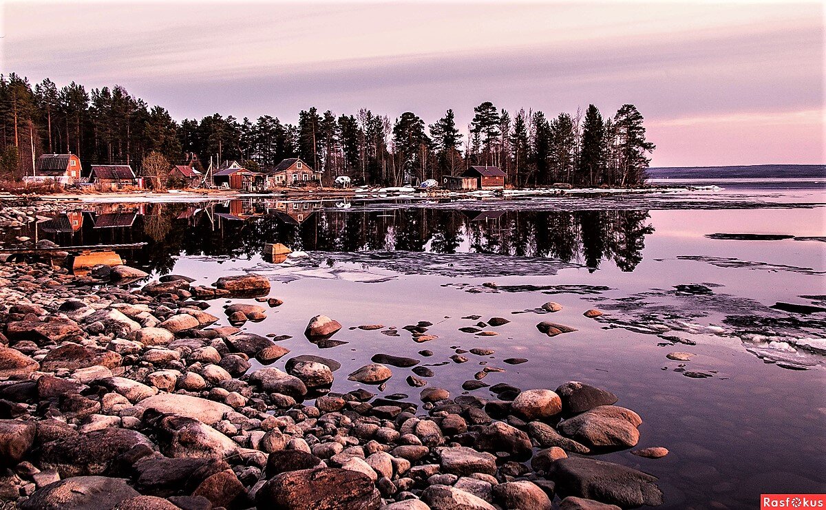 Фото взято из открытых источников