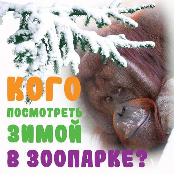 Источник фото: vk.com/rostov_zoo_official