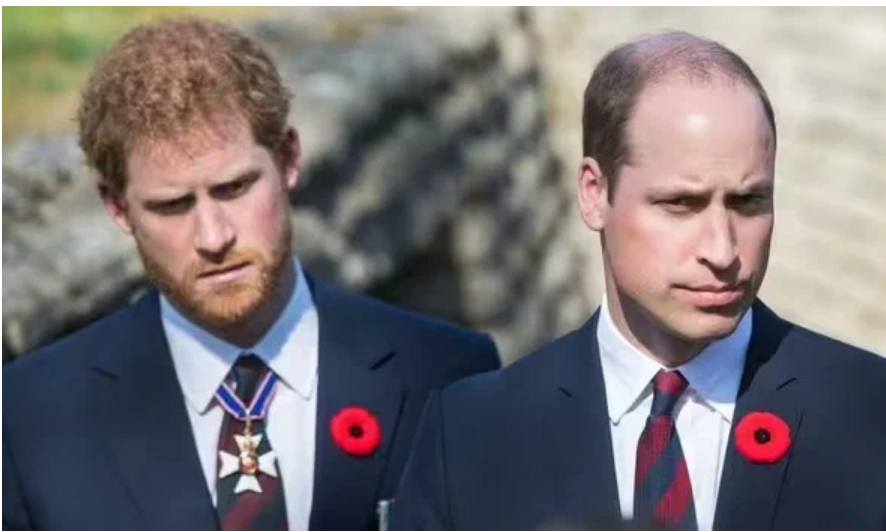 Фото из сети Интернет