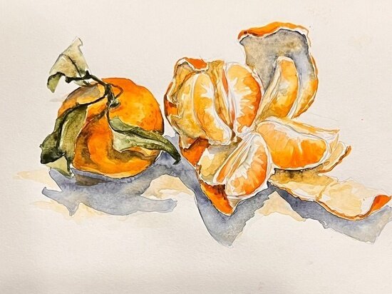     фото: vk.com/mercury_smol