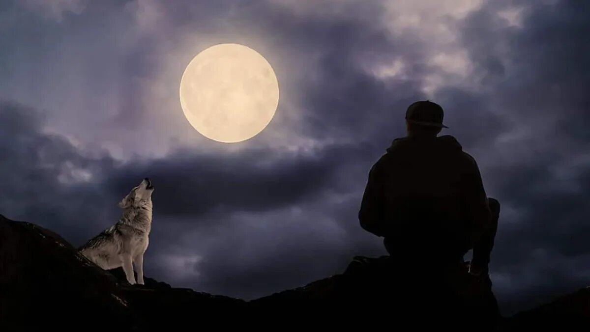 Фото: piqsels.com