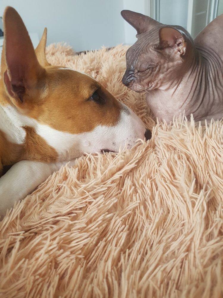 автор фото: Temnaia 