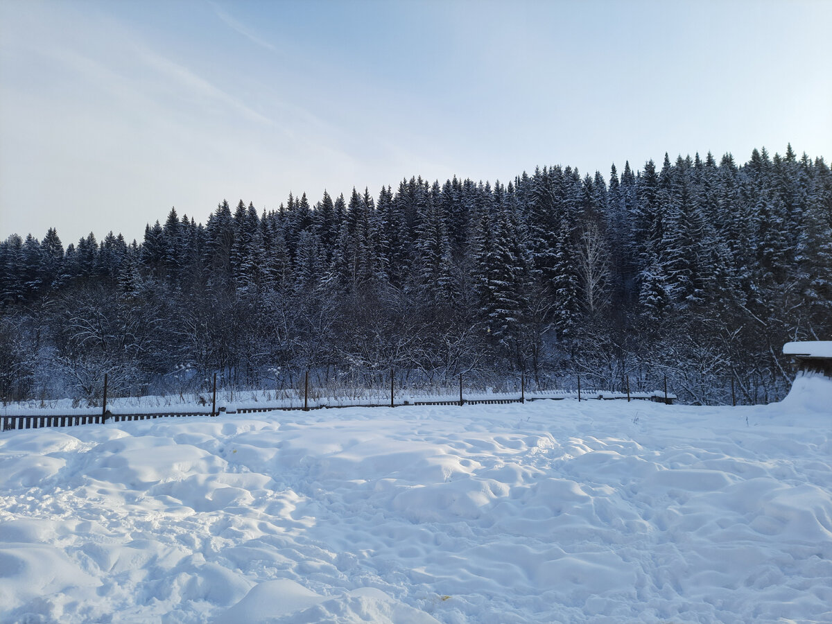 Зимой у нас какие-то монохромные пейзажи, но величественные